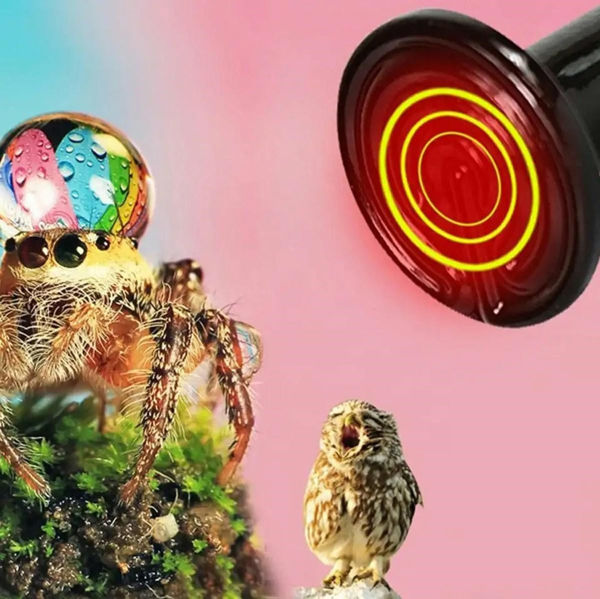 bfdeaaa22cb349e190e467ed4499f9e9 bfdeaaa22cb349e190e467ed4499f9e9